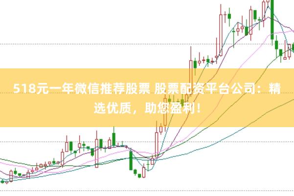 518元一年微信推荐股票 股票配资平台公司：精选优质，助您盈利！