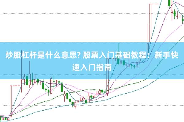 炒股杠杆是什么意思? 股票入门基础教程：新手快速入门指南