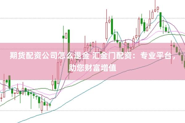 期货配资公司怎么退金 汇金门配资：专业平台，助您财富增值