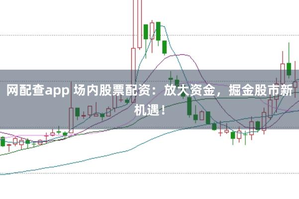 网配查app 场内股票配资：放大资金，掘金股市新机遇！