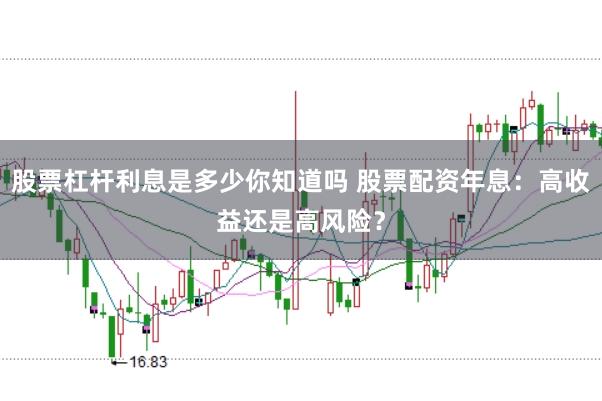 股票杠杆利息是多少你知道吗 股票配资年息：高收益还是高风险？