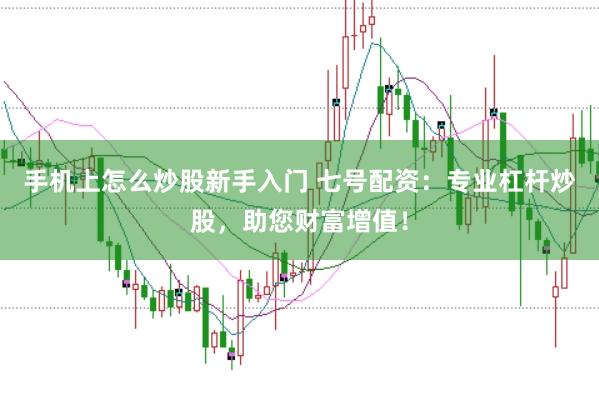 手机上怎么炒股新手入门 七号配资：专业杠杆炒股，助您财富增值！