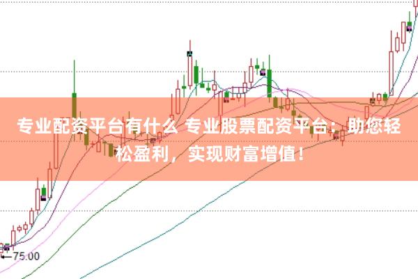 专业配资平台有什么 专业股票配资平台：助您轻松盈利，实现财富增值！