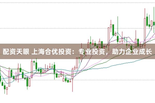配资天眼 上海合优投资：专业投资，助力企业成长